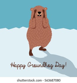 Happy Groundhog Day. Cute Groundhog Hiding From His Shadow.