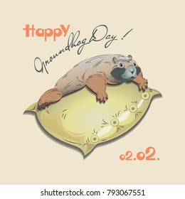 Happy Groundhog Day with a cute marmot on a pillow. Design for a postcard of a banner, poster, printing on fabric or paper.