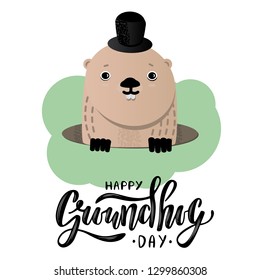 Happy Groundhog Day. Cute groundhog popping up from his burrow.