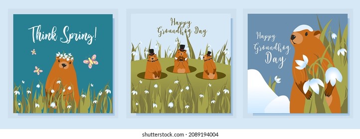 Happy groundhog day design with cute marmots. Marmot or beaver wild animal relax on nature vector illustration. Funny character. set of greeting cards. Vector illustration.