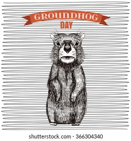 Happy Groundhog Day Design With Cute  Hand Drawn  By Pen Groundhog. Engraving Illustration.