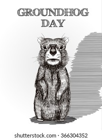 Happy Groundhog Day Design With Cute  Hand Drawn  By Pen Groundhog. Engraving Illustration.