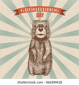 Happy Groundhog Day Design With Cute  Hand Drawn  By Pen Groundhog. Engraving Illustration.