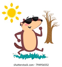 Happy Groundhog Day design with cute marmot in sunglasses walking park under the sun, prediction of weather, animal climbed out of ground burrows after wintering, hog gipernation vector illustration