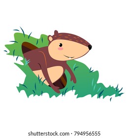 Happy Groundhog Day design with cute marmot stand on green grass, prediction of weather, animal climbed out of ground burrows after wintering, hog gipernation vector illustration