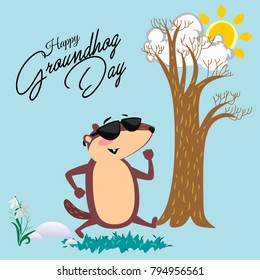 Happy Groundhog Day design with cute marmot in sunglasses walking park under the sun, prediction of weather, animal climbed out of ground burrows after wintering, hog gipernation vector illustration