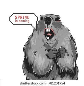 Happy Groundhog Day design. Nice drawn marmot. Creative modern holiday vector illustration. 