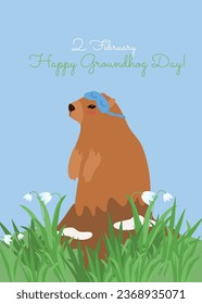 Happy Groundhog Day design with sleepy groundhog. Flat design with groundhog marmot for second February
