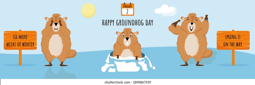 Happy Groundhog Day. Diagram with illustrations of cute and funny groundhogs. Vector illustration.