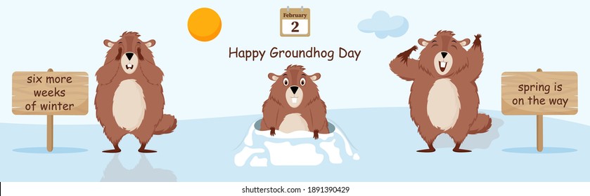 Happy Groundhog Day. Diagram with illustrations of cute and funny groundhogs. Vector illustration.