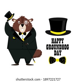 Happy Groundhog Day. Happy and elegant groundhog in tuxedo, top hat, bow tie. Isolated on a white background. Vector illustration.