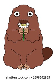 Happy Groundhog Day lustiges Erdhacktier mit wenig Blumenstock Vektorgrafik. Freundlich süßes kleines Murmeltier sitzt und hält blühende Blume. Brauner Bodenhaken einzeln auf Weiß. Eine einer Serie