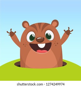 Happy Groundhog Day. Funny cute marmot looking out of a burrow. Rodent isolated on background. Woodchuck. Vector illustration minimal flat design.