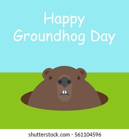 Happy Groundhog Day. Funny cute marmot looking out of a burrow. Rodent isolated on background. Woodchuck. Vector illustration minimal flat design.