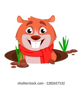 Happy Groundhog day. Funny marmot popping up from his burrow. Vector illustration on white background