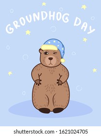 happy groundhog day greeting card with cute wild animal and cartoon hand drawing doodle elements on blue background, editable vector illustration for poster, banner, spring decoration