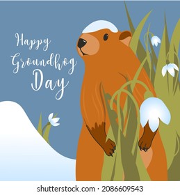 Happy Groundhog Day greeting card. Happy marmot Day Typographic Vector Design with Cute Groundhog Character - Advertising Poster or Flyer Template. Trendy abstract art templates with marmot, snow. Fla