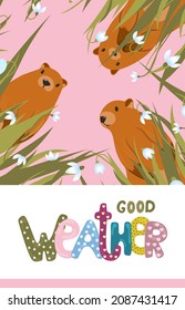 Happy Groundhog Day greeting card. Happy marmot Day Typographic Vector Design with Cute Groundhog Character - Advertising Poster