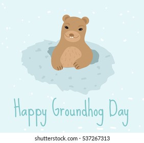 Happy Groundhog Day. Greeting card flat style. Celebration of spring. Cute, funny marmot comes out of the hole. Vector illustration