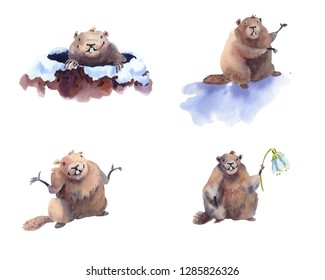 Happy Groundhog Day - hand drawn watercolor collection illustrations character card groundhog