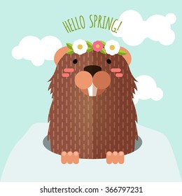 Happy Groundhog Day, Hello spring, design with flat cute groundhog