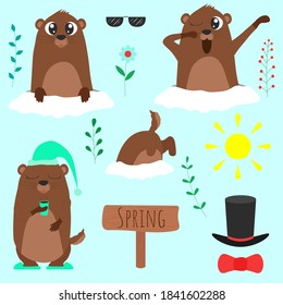 Happy groundhog day illustrations set. Vector cartoon illustrations. Grounhog character. Isolated objects. Flat design.