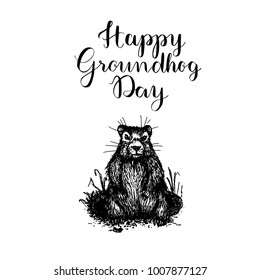 Happy Groundhog Day. Isolated Vector Illustration. Template For Label Poster, Logo, Web, Card.  Hand Drawing Background Banner. Engraving