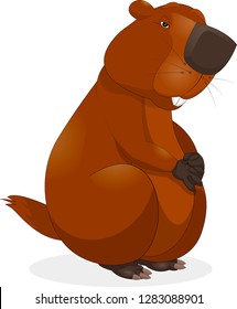 Happy Groundhog Day. Marmot casts shadow. Vector cartoon illustration - Vector 