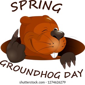 Happy groundhog day. Marmot look from hole. Flat design. Vector illustration. - Vector