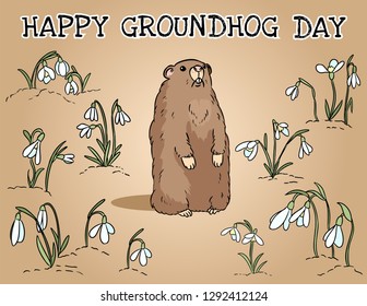 Happy Groundhog Day postcard. Groundhog in the snowdrops field. Cute cartoon groundhog image.