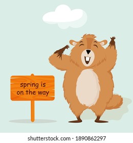 Happy Groundhog Day. Happy groundhog rejoices in spring. Isolated vector illustration.