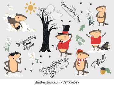 Happy Groundhog Day set, cute marmot in cylinder holds flower - white snowdrop, prediction of weather, animal climbed out of ground burrows after wintering, hog gipernation vector illustration