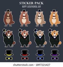 Happy Groundhog Day. A set of funny groundhog stickers of different colors. Vector illustration.