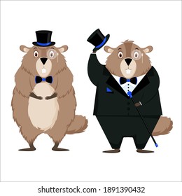 Happy Groundhog Day. Set of two elegant groundhogs isolated on a white background. Vector illustration.