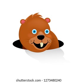 The happy groundhog looked out of the mink saw his shadow. Traditional holiday February 2 in the United States and Canada. The cartoon character of a mammal of the squirrel family. Vector