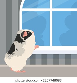 A happy Guinea pig looking out the window. A pet is waiting for his owner to return home.