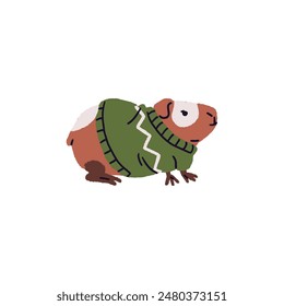 Happy guinea pig wearing knitted sweater side view. Domestic cavy is dressed in warm clothes. Cute small animal, pet, rodent is in funny outfit. Hand drawn flat isolated vector illustration on white