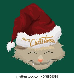 Happy hairy kitty with furry Santa's hat on green background.