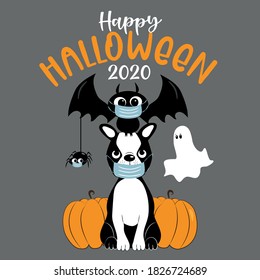 Happy Halloween 2020- cute boston terrier, bat, spider in facemask, and ghost and pumpkins. Funny greeting card for Halloween in covid-19 pandemic self isolated period.  