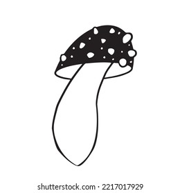 Happy halloween. Amanita mushroom contour drawing. Amanita family. Black and white image. Doodles. A forest of poisonous mushrooms. Children s coloring book.
