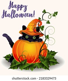 Happy Halloween  black cat and pumpkin, vector illustration