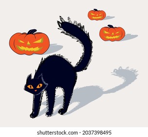 Happy halloween black cat with pumpkins.