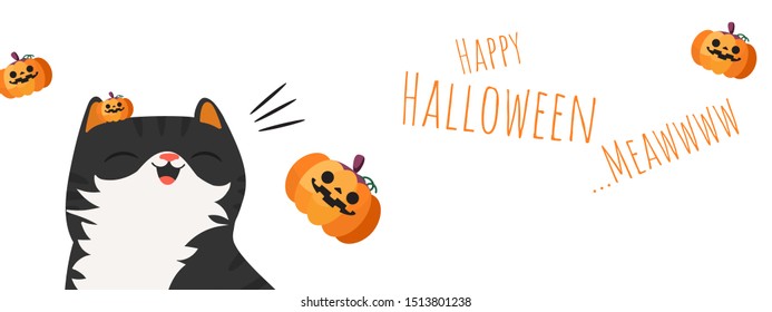 Happy Halloween. Black cat smiling with Jack-o-lantern pumpkin. Cute cartoon character. Vector illustration.