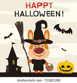 Happy Halloween! Bunny rabbit in witch hat and with broom on background of terrible home and pumpkin.