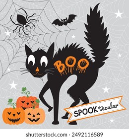 Happy Halloween card design with angry black cat and pumpkins