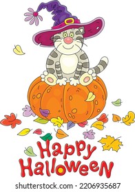 Happy Halloween card with a funny fat cat in a holiday witch hat sitting on a large orange pumpkin among colorful fallen autumn leaves, vector cartoon illustration on white