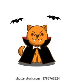 Happy Halloween cartoon dog Dracula Vampire with bats for banner, poster, greeting card, party invitation. Vector illustration. 