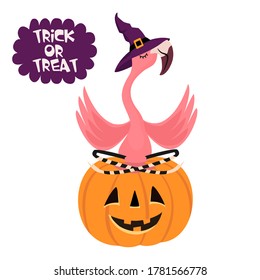 Happy Halloween. Cartoon flamingo with a hat sitting on a pumpkin. Funny vector illustration. Can be used as an element for cards, banners, posters.