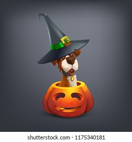 Happy Halloween character - cute dog in the hat, sitting in a pumpkin isolated on dark background. Vector illustration.