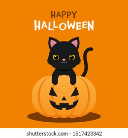 Happy Halloween, Cute black cat with halloween pumpkin on orange background